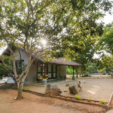 Koragaha Lodge - Yala Tissamaharama Exteriör bild