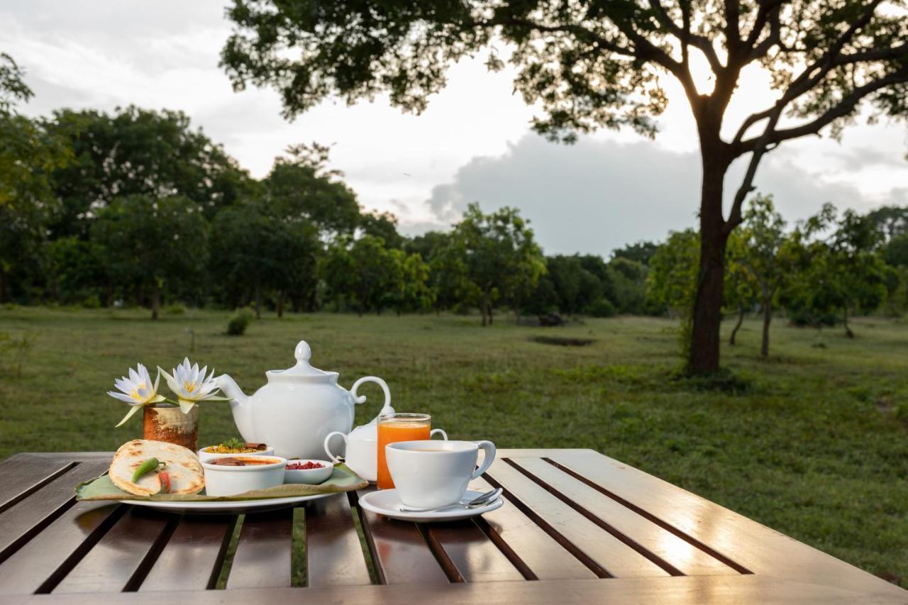 Koragaha Lodge - Yala Tissamaharama Exteriör bild