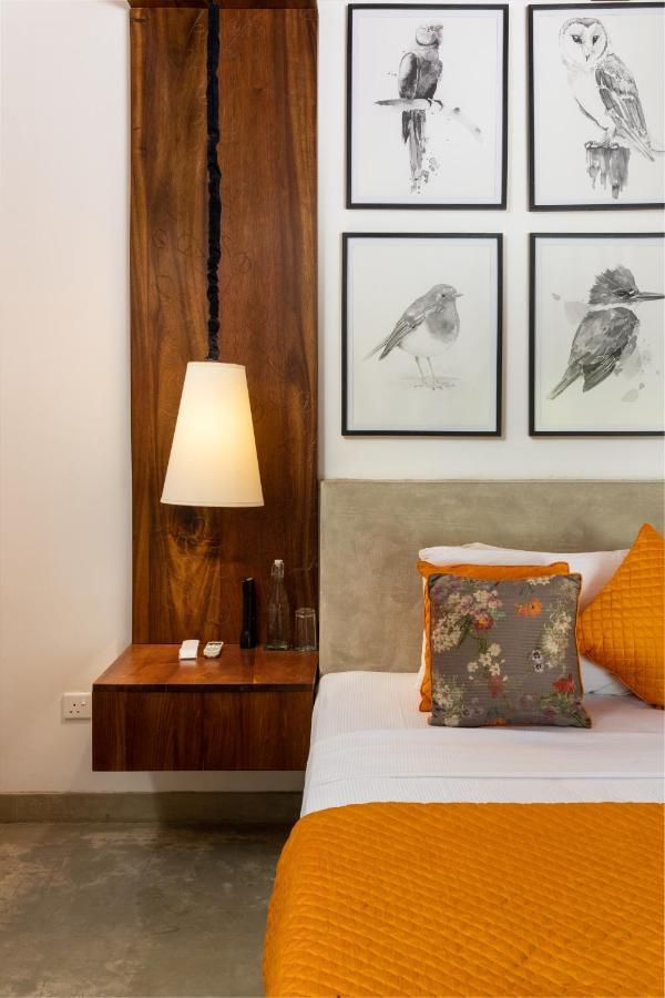 Koragaha Lodge - Yala Tissamaharama Exteriör bild