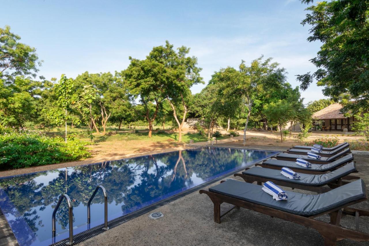 Koragaha Lodge - Yala Tissamaharama Exteriör bild