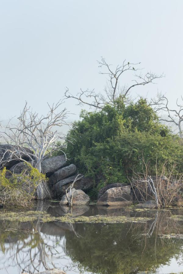 Koragaha Lodge - Yala Tissamaharama Exteriör bild