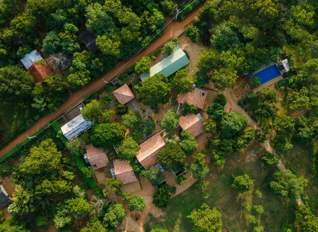 Koragaha Lodge - Yala Tissamaharama Exteriör bild