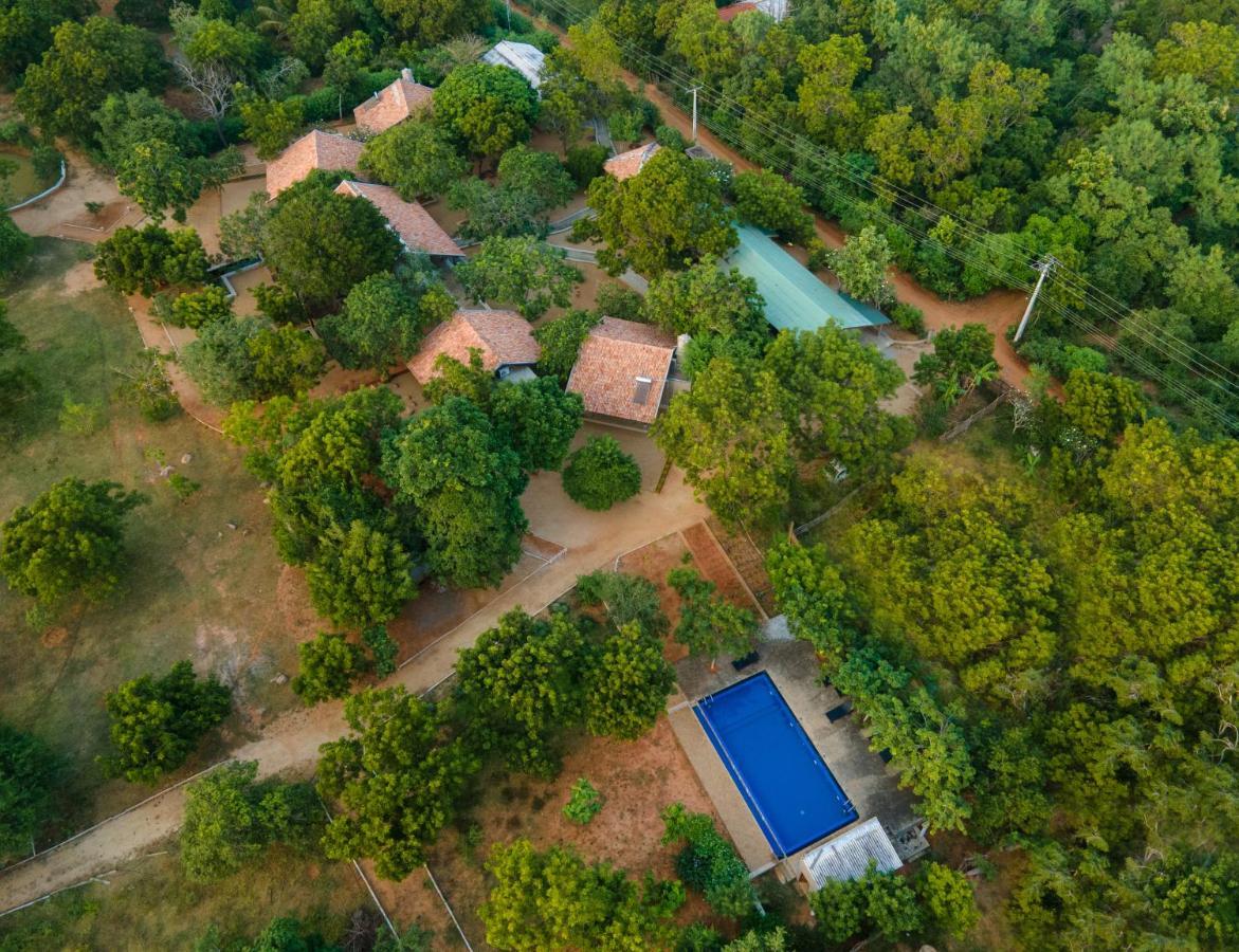 Koragaha Lodge - Yala Tissamaharama Exteriör bild